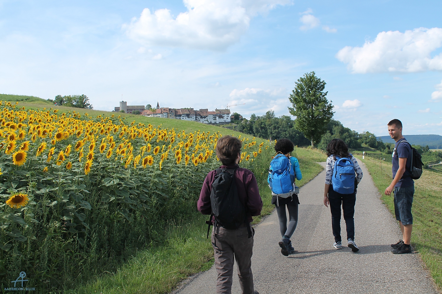 20170715_Regensburg-Regensberg (31)